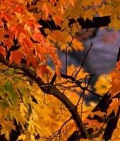 november