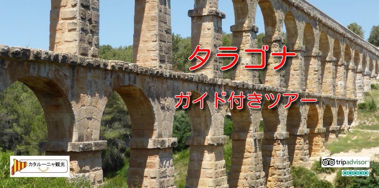 タラゴナ観光ツアー 公認ガイド付き日本語個人ツアー ２０２１年 バルセロナ観光 フリープランなら カタルーニャ観光